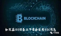 如何在iOS设备上下载和使