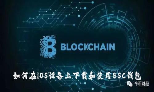 如何在iOS设备上下载和使用BSC钱包