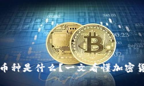 区块链最好的币种是什么？一文看懂加密货币投资的选择