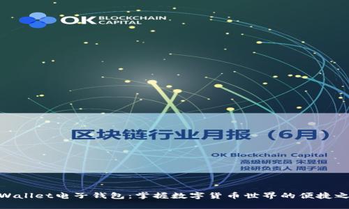 tpWallet电子钱包：掌握数字货币世界的便捷之选
