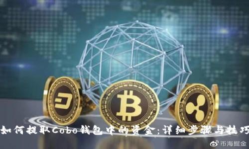 如何提取Cobo钱包中的资金：详细步骤与技巧