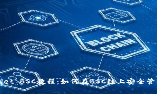 tpWallet BSC教程：如何在BSC链上安全管理资产