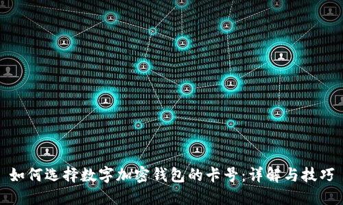 如何选择数字加密钱包的卡号：详解与技巧