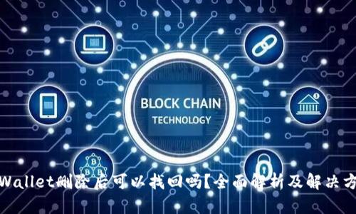 tpWallet删除后可以找回吗？全面解析及解决方案