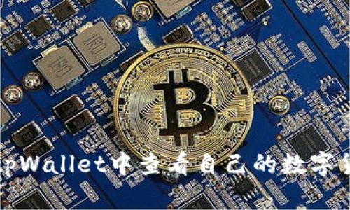 如何在tpWallet中查看自己的数字货币资产
