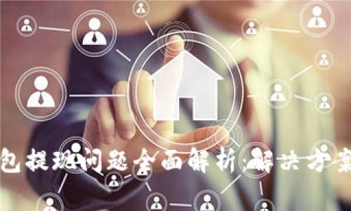 数字货币钱包提现问题全面解析：解决方案和常见原因