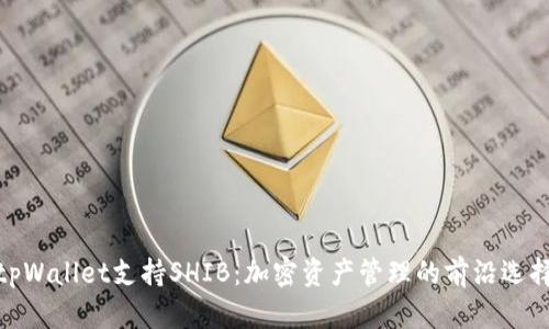 tpWallet支持SHIB：加密资产管理的前沿选择