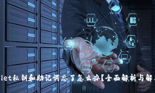 tpWallet私钥和助记词忘了怎么办？全面解析与解决方案