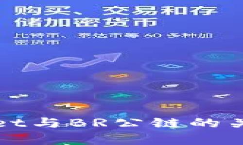 tpWallet与BR公链的关系解析