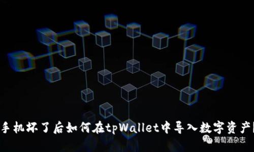 手机坏了后如何在tpWallet中导入数字资产？