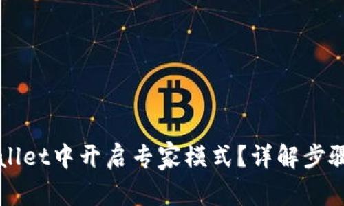 怎样在tpWallet中开启专家模式？详解步骤与注意事项