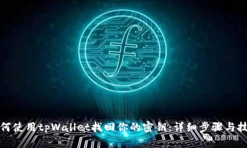 如何使用tpWallet找回你的密钥：详细步骤与技巧
