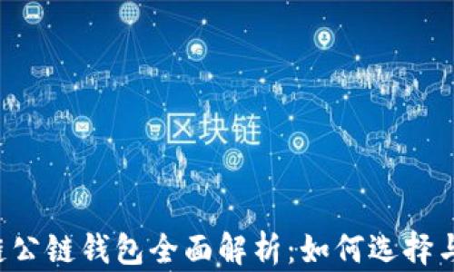 
区块链公链钱包全面解析：如何选择与使用？