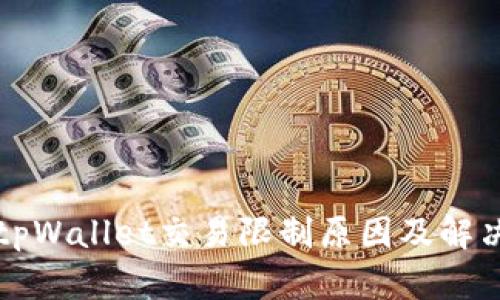 大陆tpWallet交易限制原因及解决方案