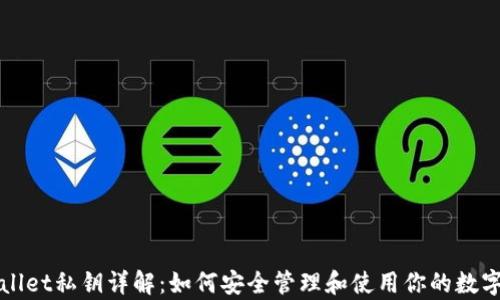 
tpWallet私钥详解：如何安全管理和使用你的数字资产