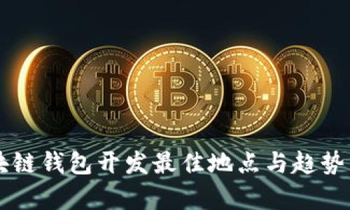 区块链钱包开发最佳地点与趋势分析