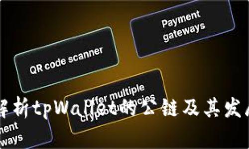 全面解析tpWallet的公链及其发展潜力