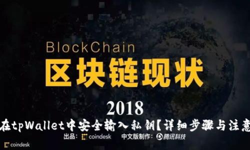 如何在tpWallet中安全输入私钥？详细步骤与注意事项