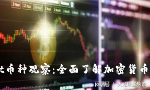 ### tpWallet币种观察：全面了解加密货币市场趋势与分析