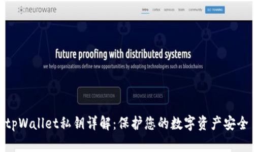 tpWallet私钥详解：保护您的数字资产安全