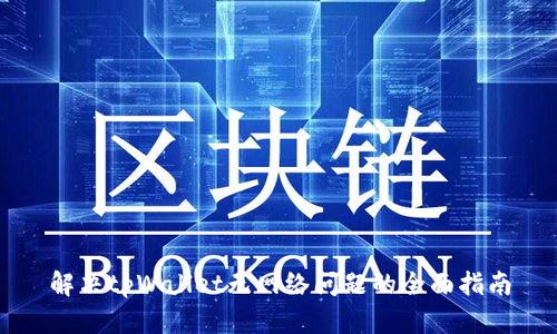 解决tpWallet无网络问题的全面指南