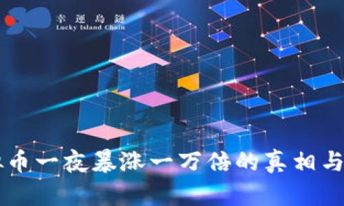 虚拟币一夜暴涨一万倍的真相与解析