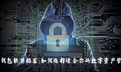 区块链钱包软件推荐：如何选择适合你的数字资产管理工具
