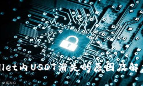 tpWallet内USDT消失的原因及解决方案