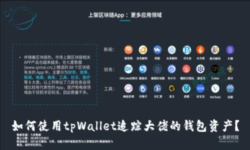如何使用tpWallet追踪大佬的钱包资产？