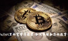tpWallet里的宽带与能量：如