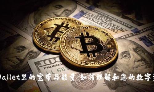 tpWallet里的宽带与能量：如何理解和您的数字资产