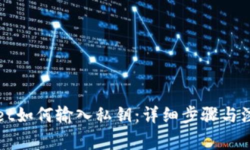 tpWallet如何输入私钥：详细步骤与注意事项