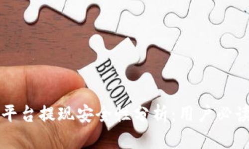 波币平台提现安全性分析：用户必读指南