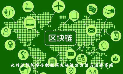 比特派钱包安全提醒消失的解决方法与注意事项