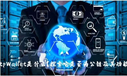 tpWallet是什么？探索它是否为公链及其功能