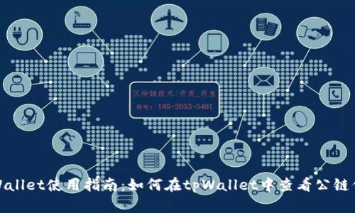 tpWallet使用指南：如何在tpWallet中查看公链信息