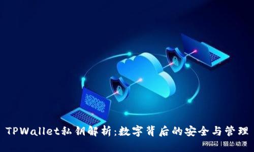 TPWallet私钥解析：数字背后的安全与管理