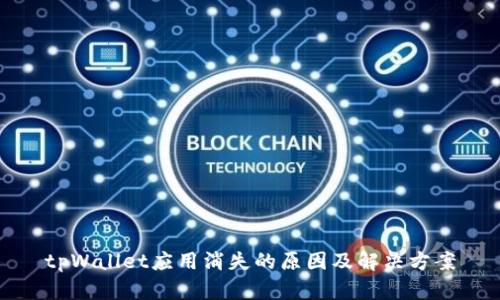 tpWallet应用消失的原因及解决方案
