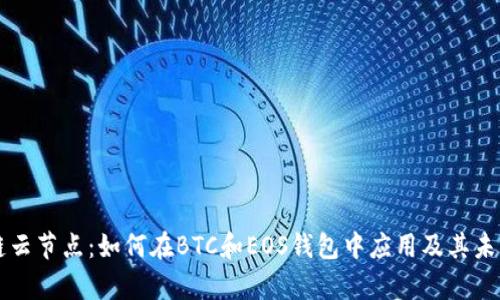 区块链云节点：如何在BTC和EOS钱包中应用及其未来前景