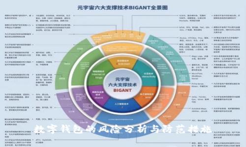 数字钱包的风险分析与防范措施