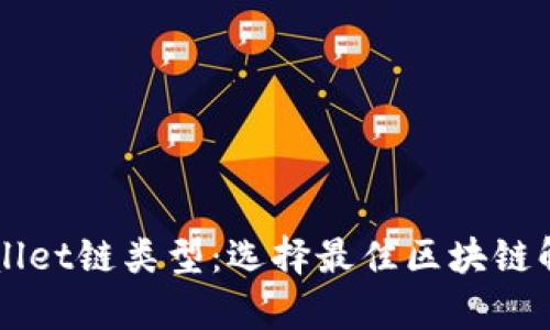 深入了解tpWallet链类型：选择最佳区块链解决方案的指南