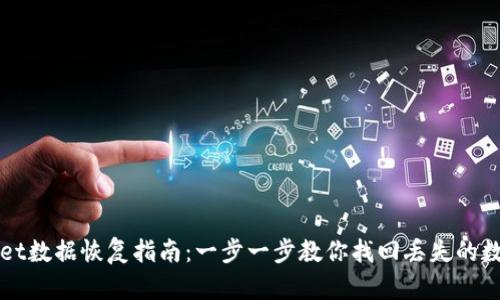 tpWallet数据恢复指南：一步一步教你找回丢失的数字资产