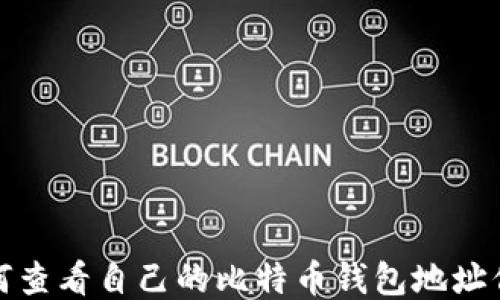 
如何查看自己的比特币钱包地址信息