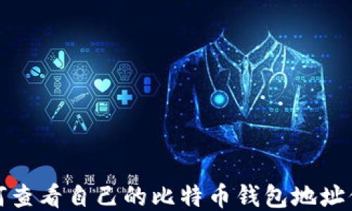 
如何查看自己的比特币钱包地址信息
