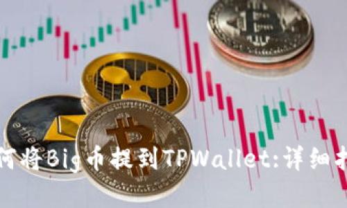 如何将Big币提到TPWallet:详细指南