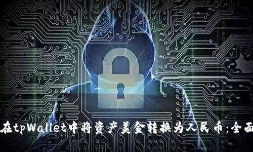如何在tpWallet中将资产美金转换为人民币：全面指南