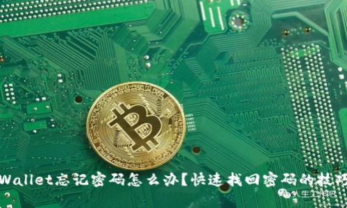 安卓tpWallet忘记密码怎么办？快速找回密码的技巧与方法