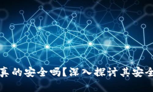 区块链钱包真的安全吗？深入探讨其安全性与可靠性