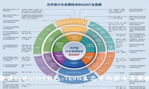 深入解读tpWallet钱包：TRON生态中的安全与便捷选择