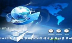 2023年虚拟币市场：BTC行情